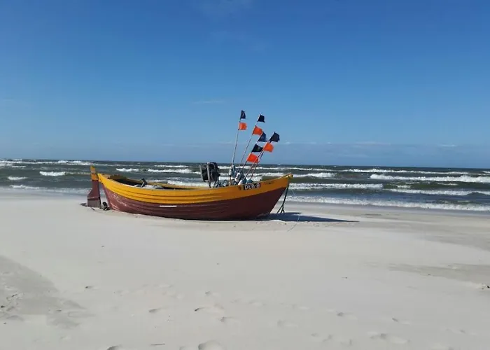 Emily-domki Odargowo